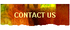 contact me